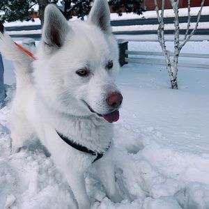 Meet your Posher, Stephanie